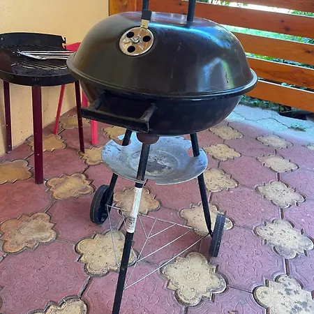 Nyaraló Ili