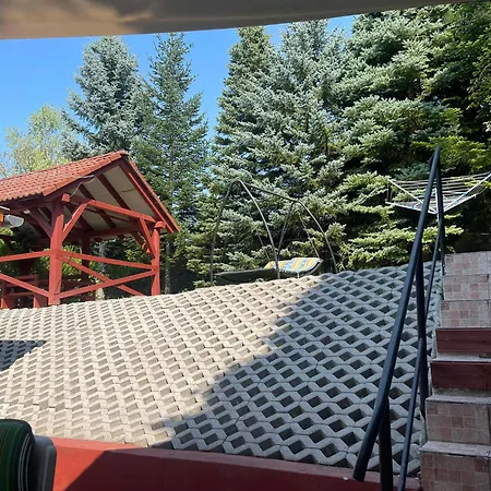 Ili Vendeghaz * Zalakaros