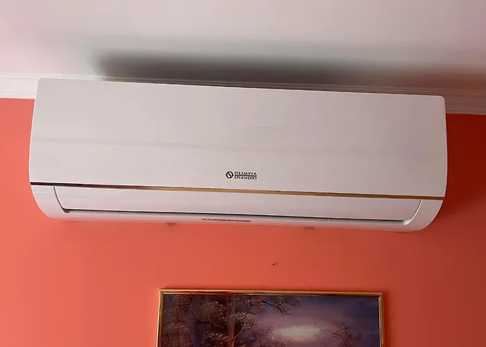 Ili Vendeghaz *