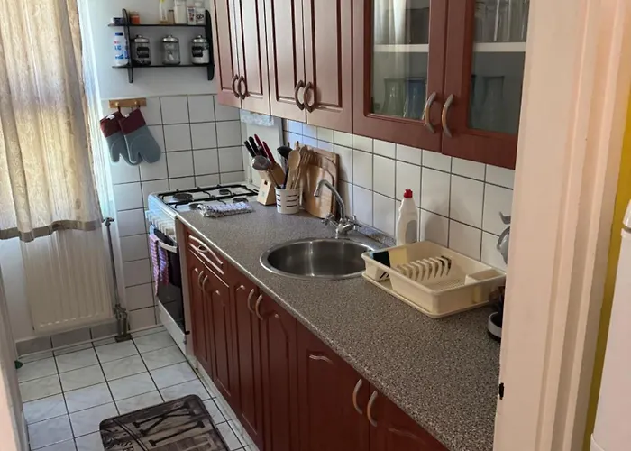 Ili Vendeghaz *