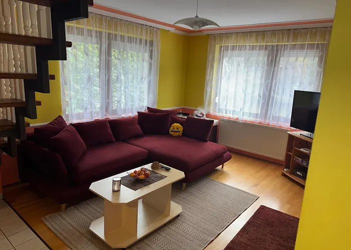 Ili Vendeghaz 佐洛卡罗斯